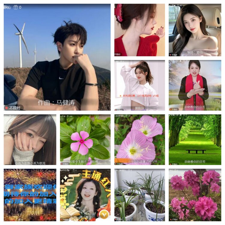 海燕🎤V娱热点