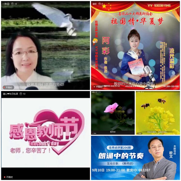 无言🎤V娱热点