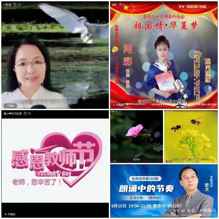 无言🎤V娱热点