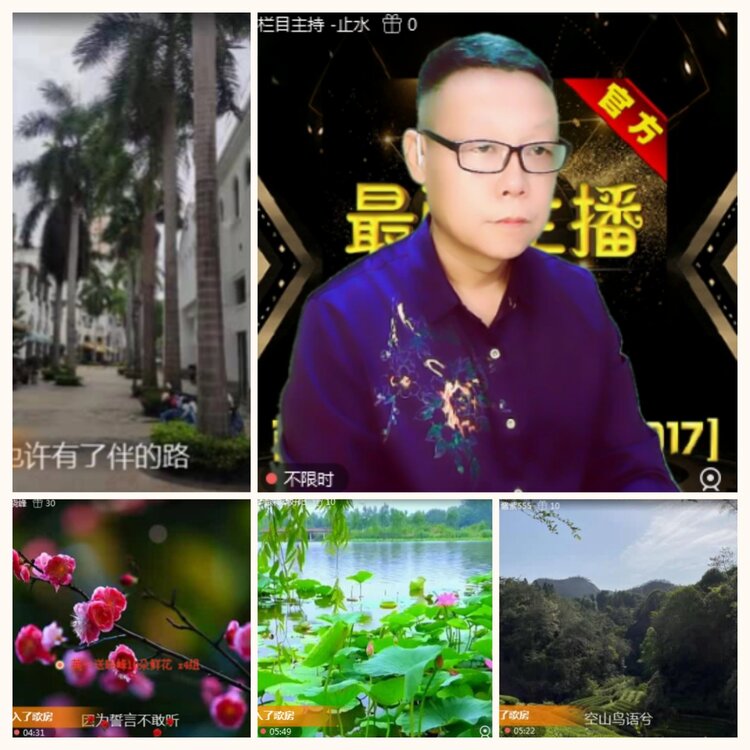 落雪🎤V娱热点