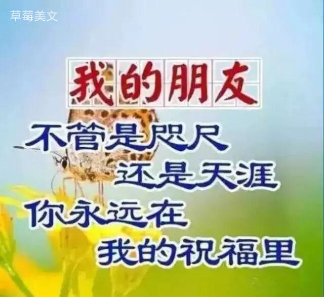 日月争辉