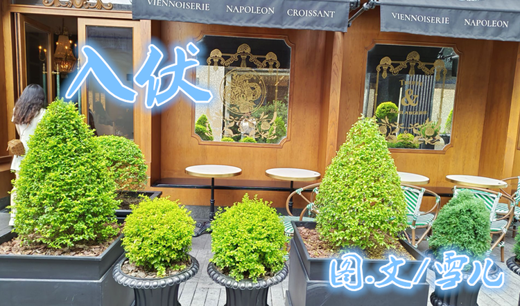 雪儿🎤V娱热点