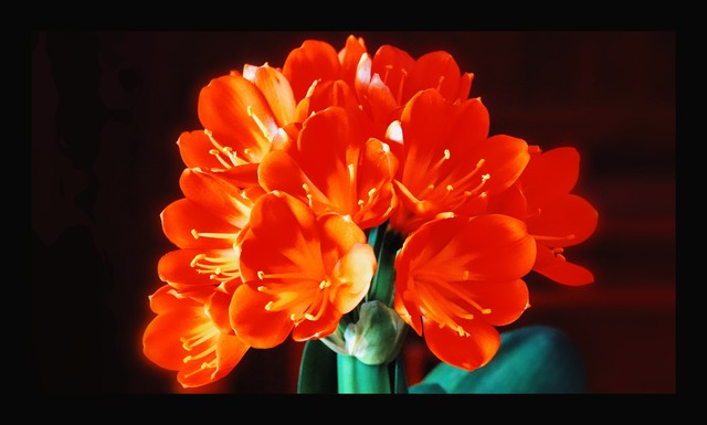 小浅🎤V娱热点