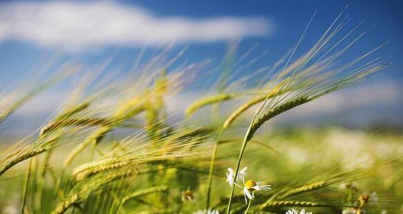 曾经🎤V娱热点