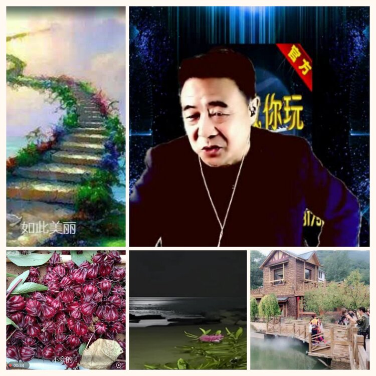 落雪🎤V娱热点