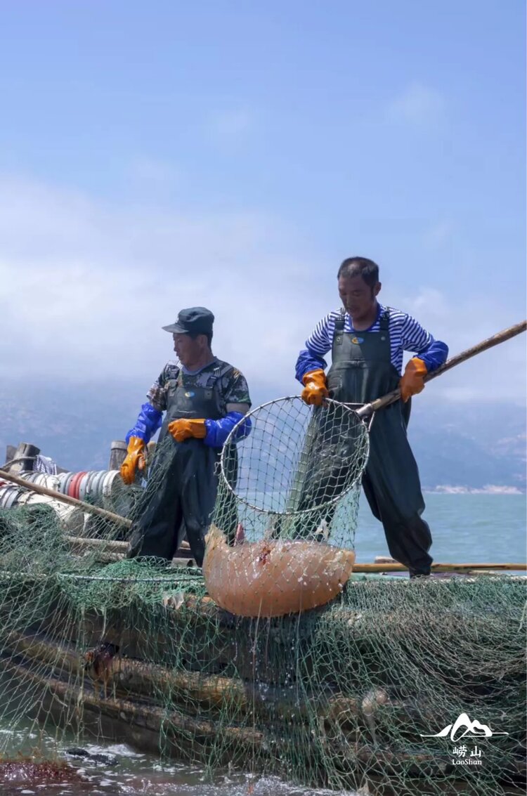 🍁雪儿（爱君）🎤☘️