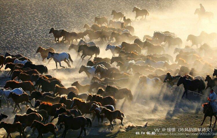 万马奔腾