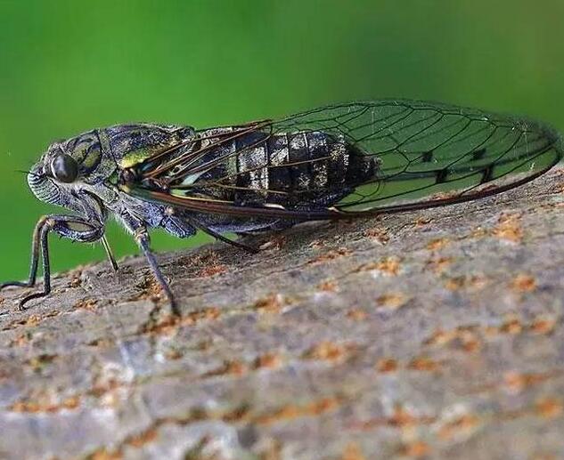 曾经🎤V娱热点