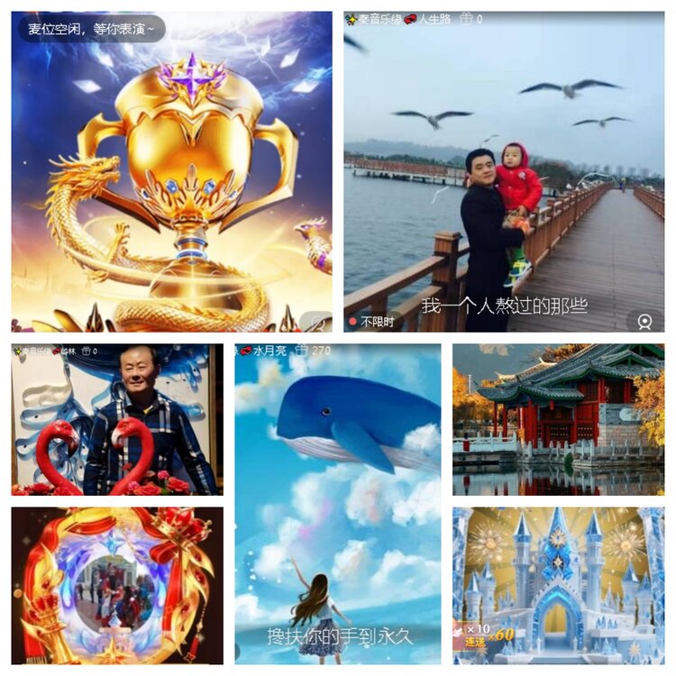 心玫🎤V娱热点