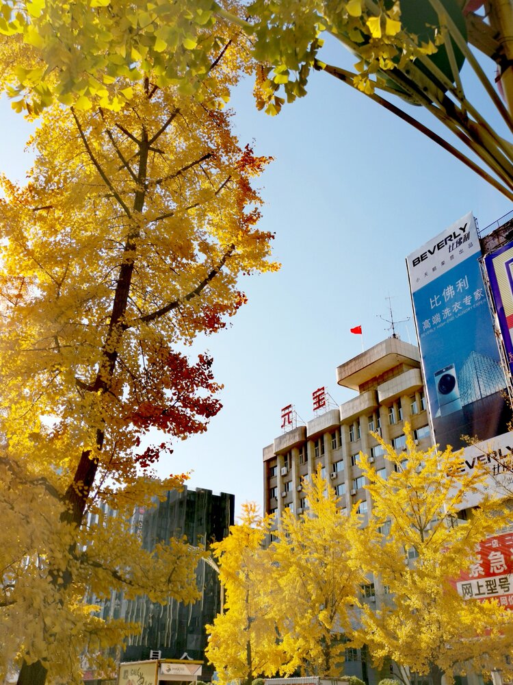 克城【文声汇影】