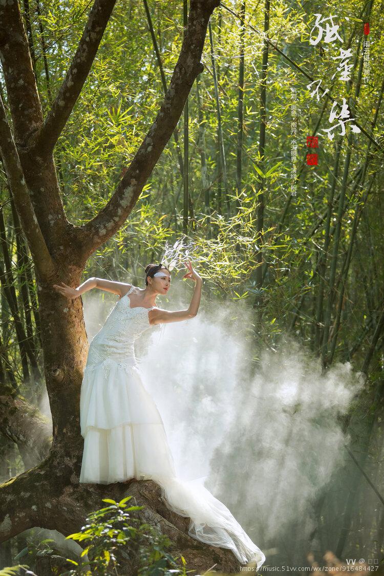 唤醒春天悄悄来到小小的山巅如盛开的花儿雪白的精灵纤尘不染