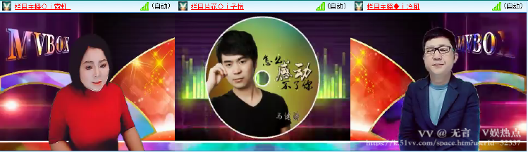 无言🎤V娱热点