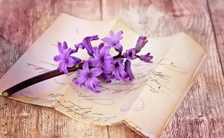 小浅🎤V娱热点