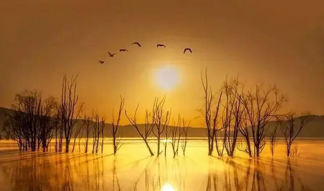 雪儿🎤V娱热点