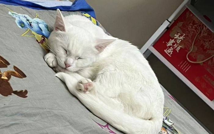 雪儿🎤V娱热点