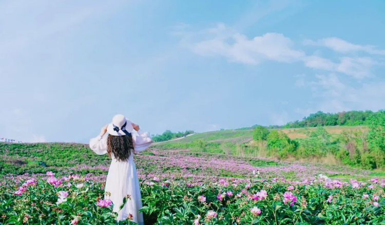 小浅🎤V娱热点