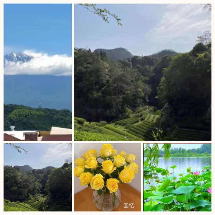 落雪🎤V娱热点