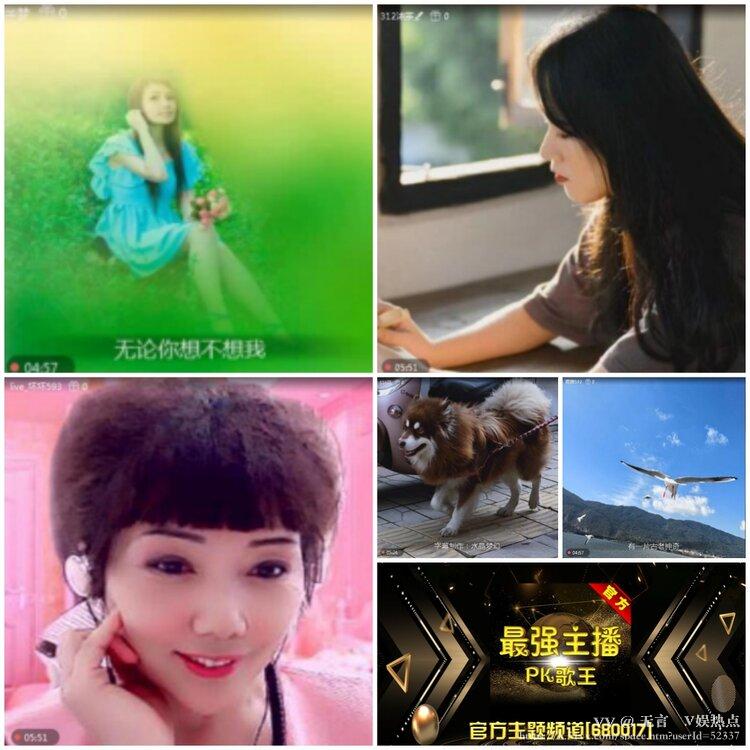 无言🎤V娱热点