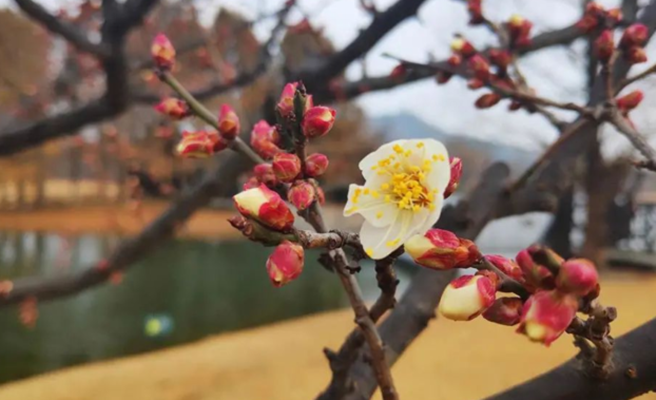 雪儿🎤V娱热点