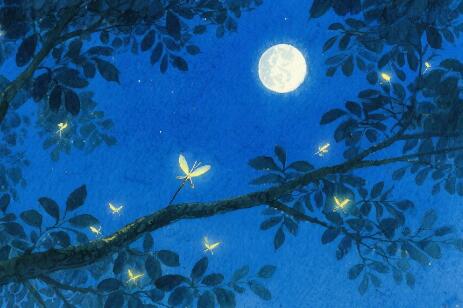 曾经🎤V娱热点