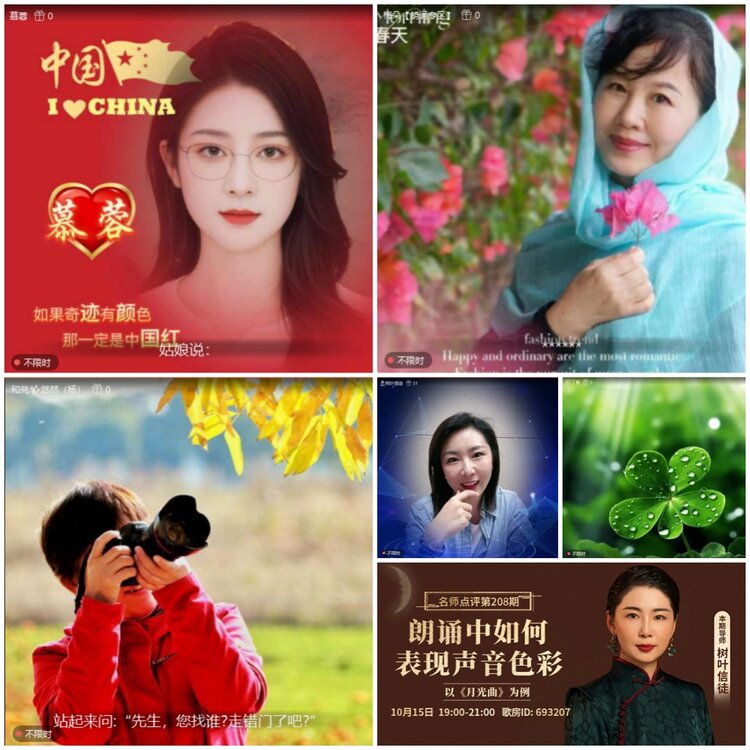 无言🎤V娱热点