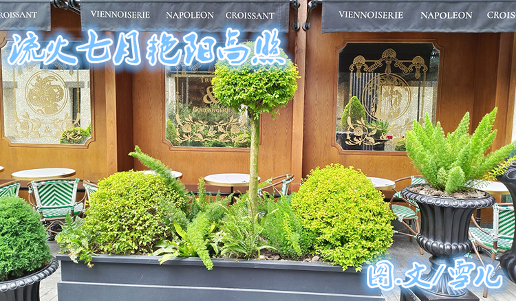 雪儿🎤V娱热点