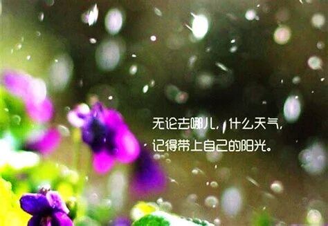 誰給了妳囂張的資本