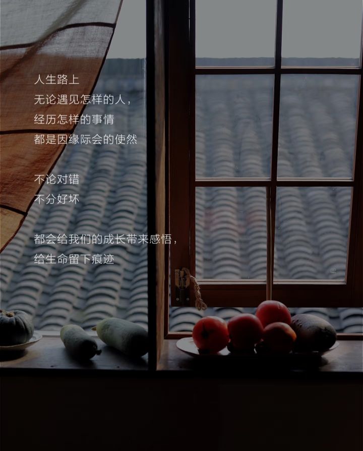 雪儿🎤V娱热点