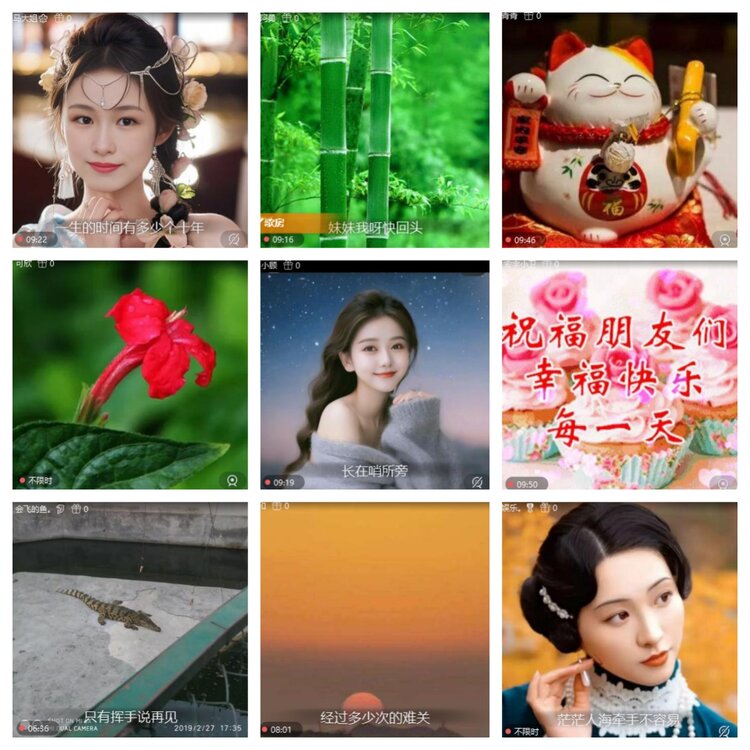 心玫🎤V娱热点