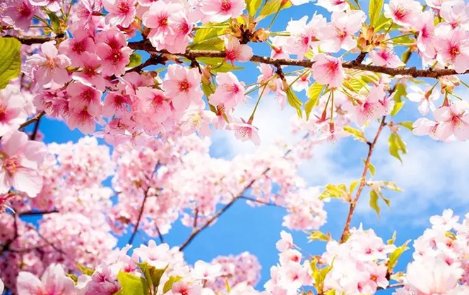 雪儿🎤V娱热点