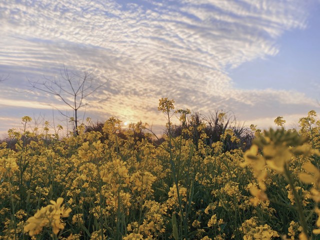 小浅🎤V娱热点