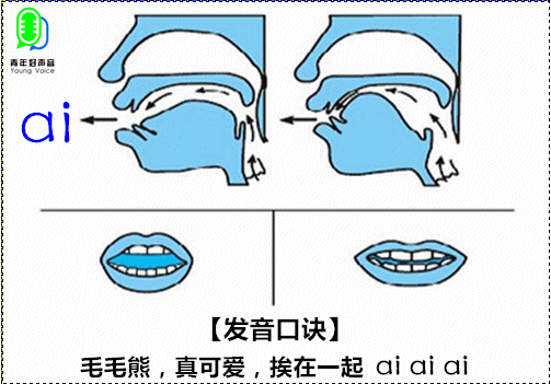 阿贞🌷【美摄视界】