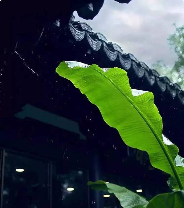 高山景行[兰亭雅韵]