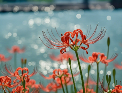 曾经🎤V娱热点