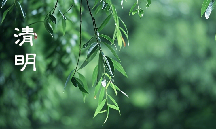 曾经🎤V娱热点