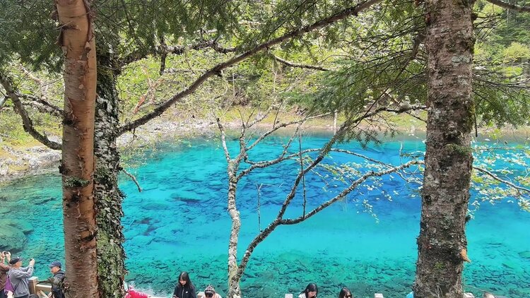 雪儿🎤V娱热点