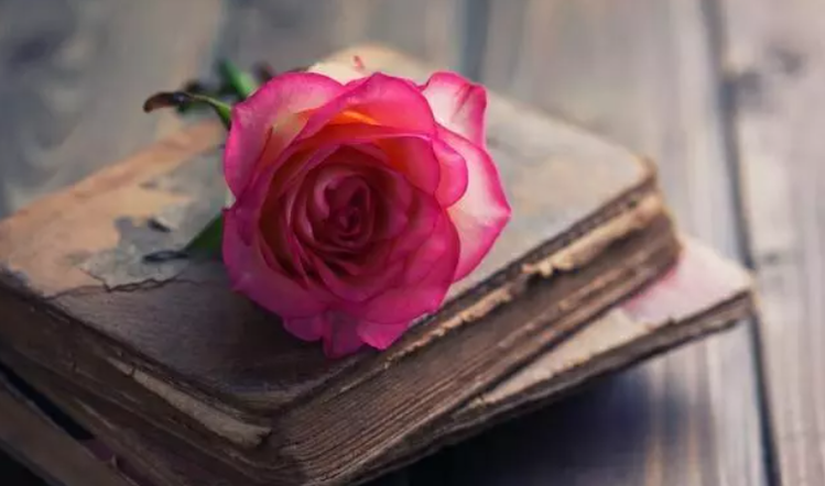 小浅🎤V娱热点