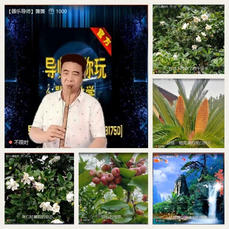 落雪🎤V娱热点