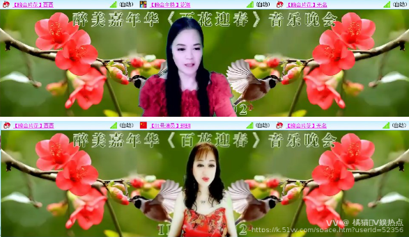 橘猫🎤V娱热点