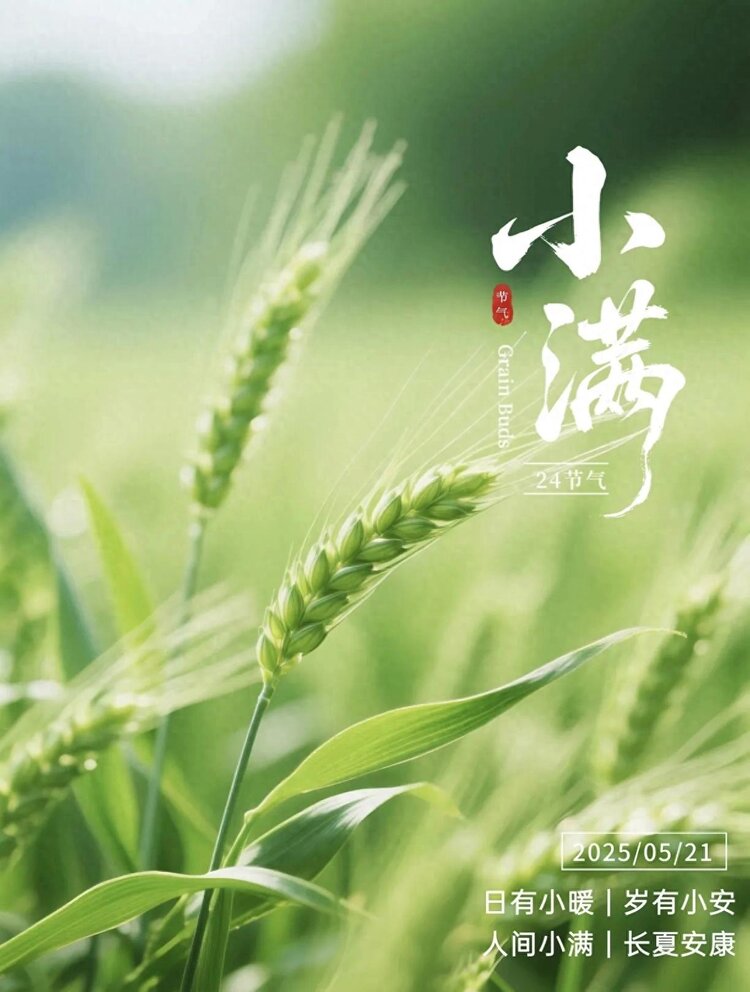 小浅🎤V娱热点