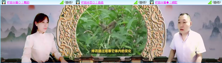 无言🎤V娱热点