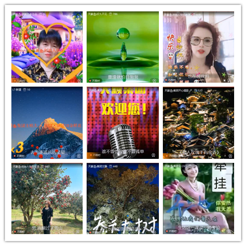 飞翔🎤V娱热点