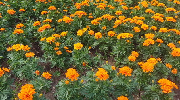 雪儿🎤V娱热点