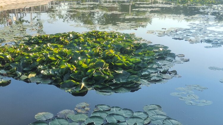 雪儿🎤V娱热点