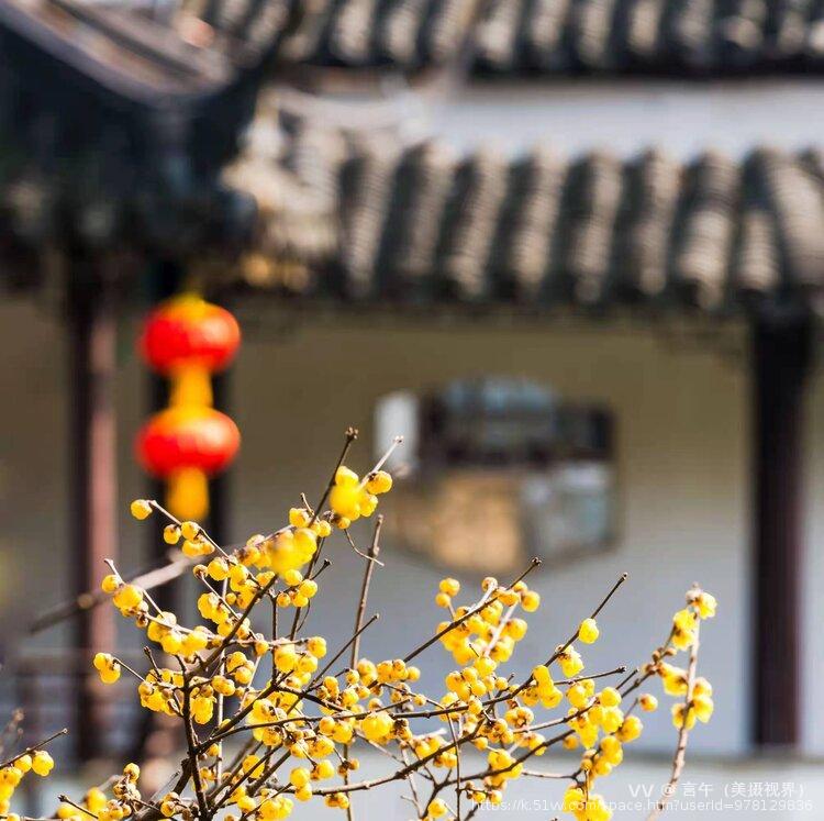 言午（美摄视界）