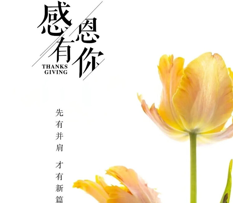 雪儿🎤V娱热点