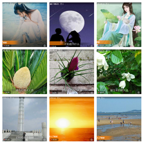 芯薇🎤V娱热点