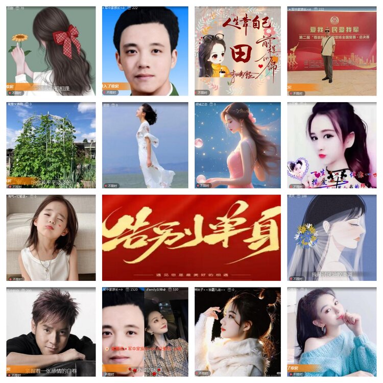 海燕🎤V娱热点