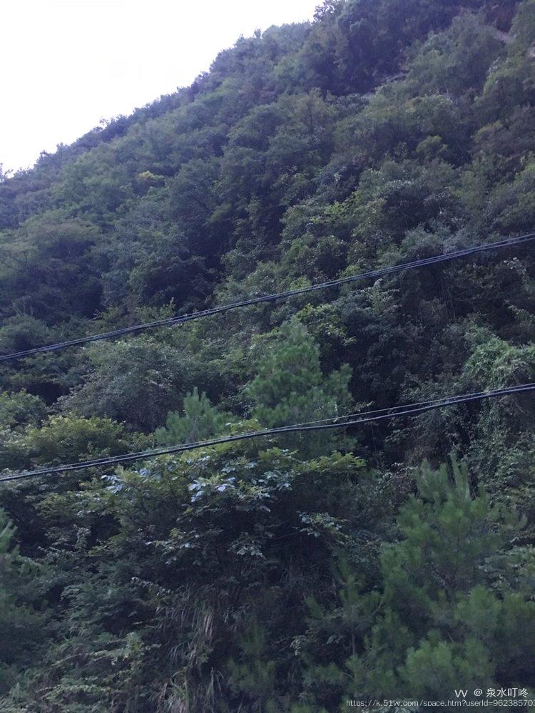 泉水叮咚