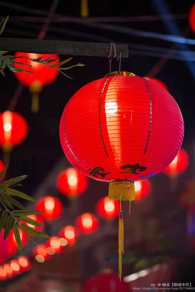 的红灯笼你是飞扬的大雪中红色的院墙中国红是深闺女子含羞出嫁的红